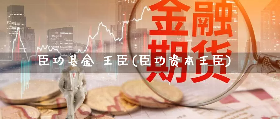 臣功基金 王臣(臣功资本王臣)_https://www.yicdns.com_外汇市场_第1张