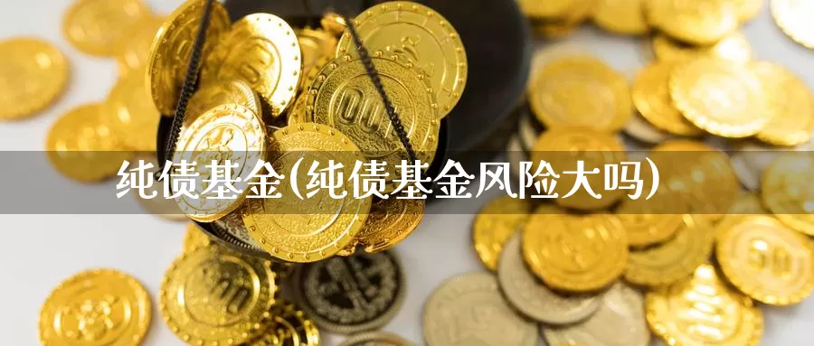 纯债基金(纯债基金风险大吗)_https://www.yicdns.com_外汇市场_第1张