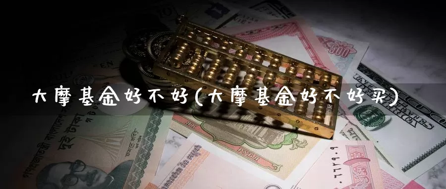 大摩基金好不好(大摩基金好不好买)_https://www.yicdns.com_外汇市场_第1张