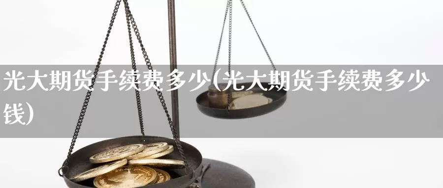 光大期货手续费多少(光大期货手续费多少钱)_https://www.yicdns.com_基金投资_第1张