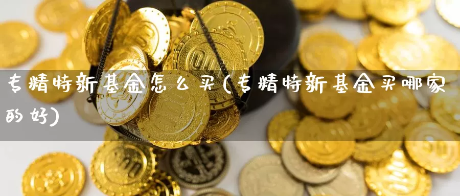 专精特新基金怎么买(专精特新基金买哪家的好)_https://www.yicdns.com_基金投资_第1张