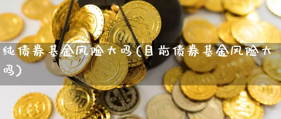 纯债券基金风险大吗(目前债券基金风险大吗)_https://www.yicdns.com_外汇市场_第1张