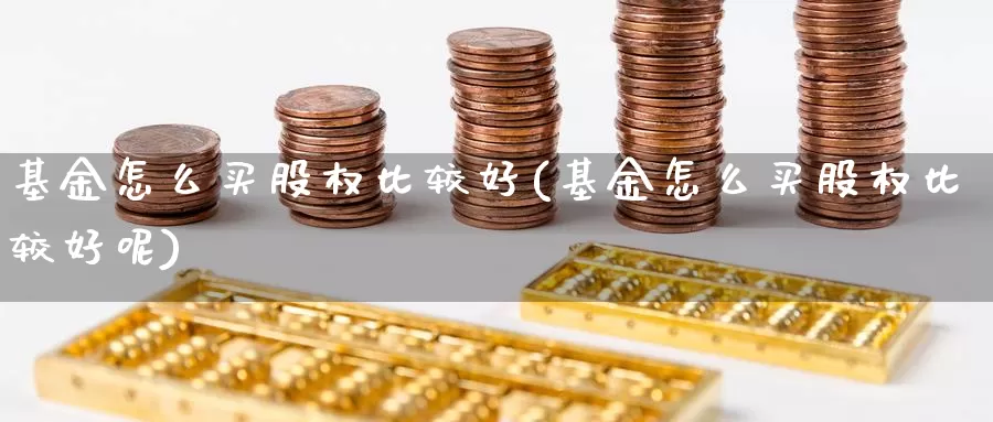 基金怎么买股权比较好(基金怎么买股权比较好呢)_https://www.yicdns.com_基金投资_第1张