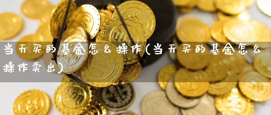 当天买的基金怎么操作(当天买的基金怎么操作卖出)_https://www.yicdns.com_基金投资_第1张