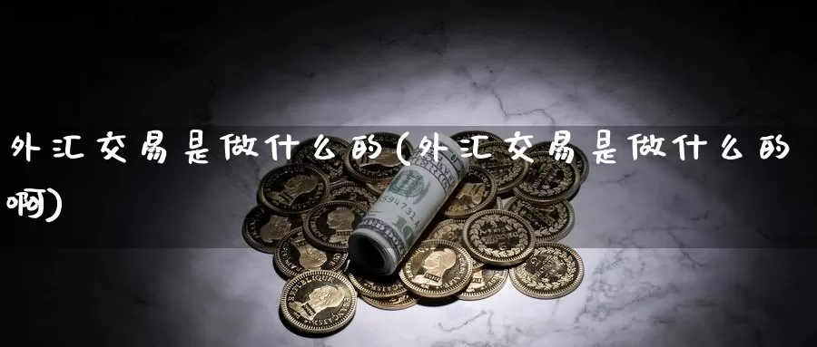 外汇交易是做什么的(外汇交易是做什么的啊)_https://www.yicdns.com_外汇市场_第1张