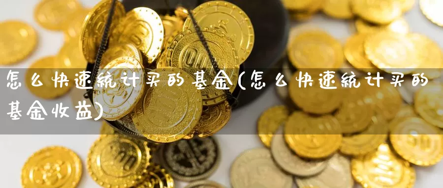 怎么快速统计买的基金(怎么快速统计买的基金收益)_https://www.yicdns.com_基金投资_第1张