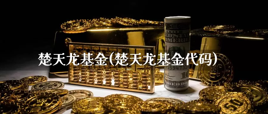 楚天龙基金(楚天龙基金代码)_https://www.yicdns.com_外汇市场_第1张