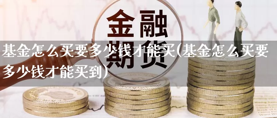 基金怎么买要多少钱才能买(基金怎么买要多少钱才能买到)_https://www.yicdns.com_基金投资_第1张