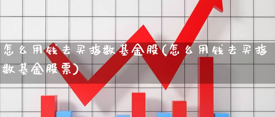 怎么用钱去买指数基金股(怎么用钱去买指数基金股票)_https://www.yicdns.com_基金投资_第1张