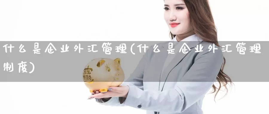 什么是企业外汇管理(什么是企业外汇管理制度)_https://www.yicdns.com_外汇市场_第1张