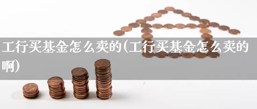 工行买基金怎么卖的(工行买基金怎么卖的啊)_https://www.yicdns.com_基金投资_第1张