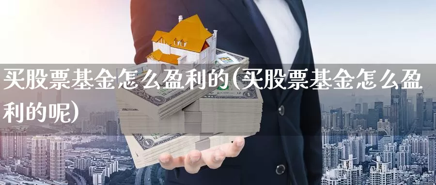 买股票基金怎么盈利的(买股票基金怎么盈利的呢)_https://www.yicdns.com_基金投资_第1张