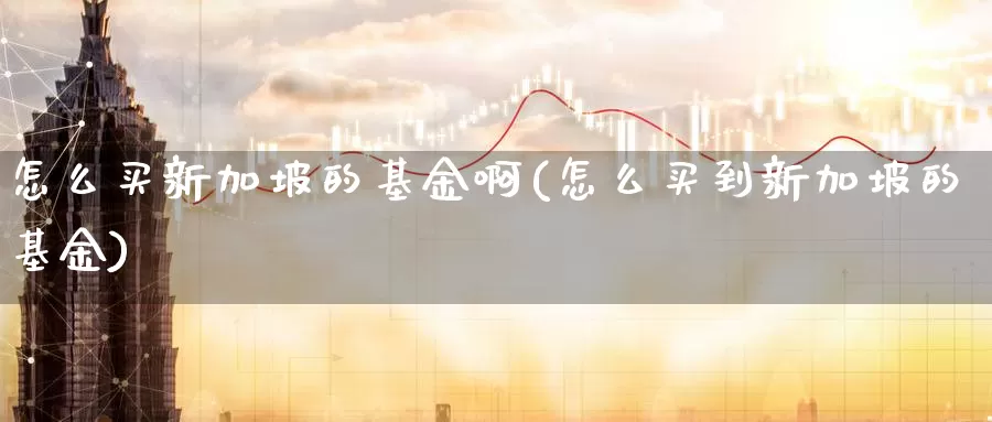 怎么买新加坡的基金啊(怎么买到新加坡的基金)_https://www.yicdns.com_基金投资_第1张