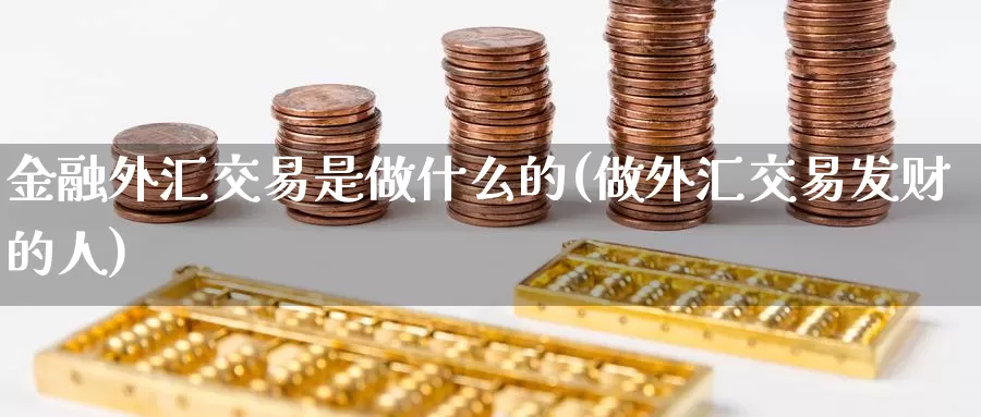 金融外汇交易是做什么的(做外汇交易发财的人)_https://www.yicdns.com_外汇市场_第1张