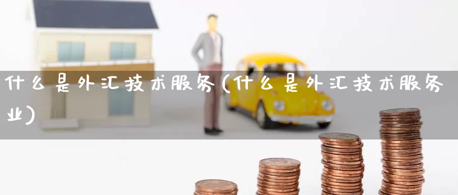 什么是外汇技术服务(什么是外汇技术服务业)_https://www.yicdns.com_外汇市场_第1张