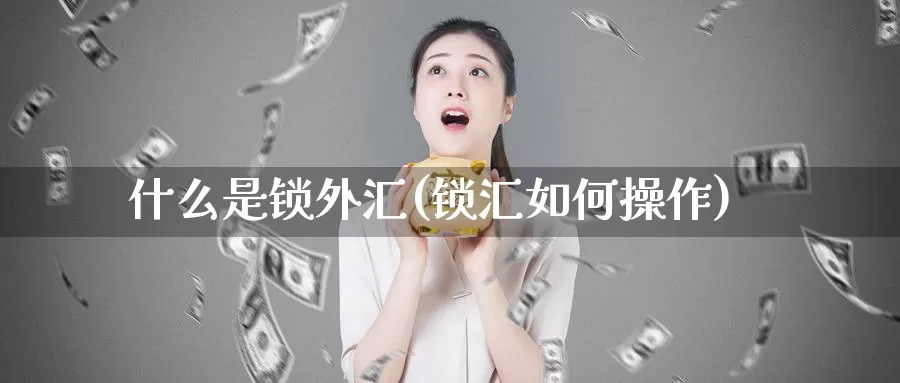 什么是锁外汇(锁汇如何操作)_https://www.yicdns.com_外汇市场_第1张