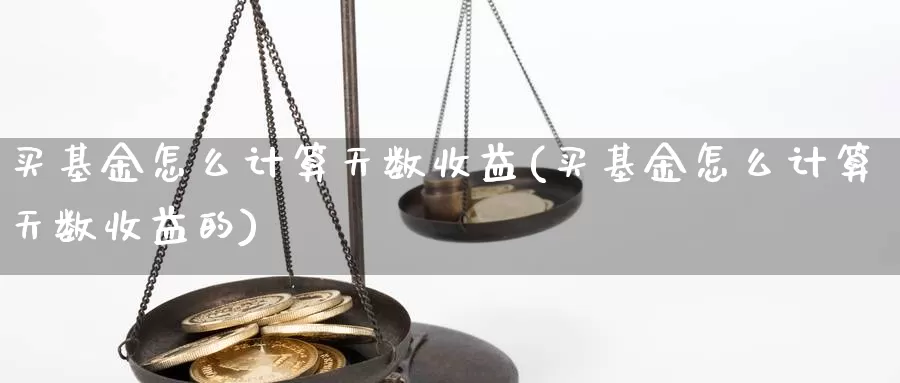 买基金怎么计算天数收益(买基金怎么计算天数收益的)_https://www.yicdns.com_基金投资_第1张