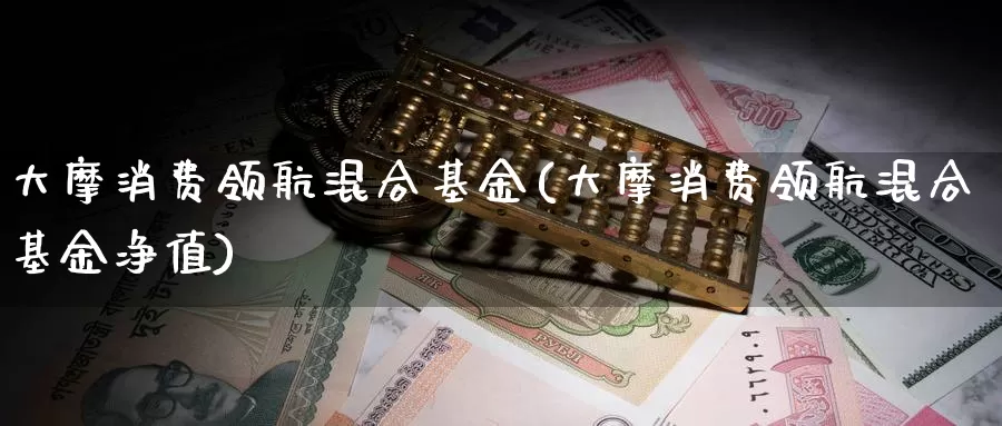 大摩消费领航混合基金(大摩消费领航混合基金净值)_https://www.yicdns.com_外汇市场_第1张