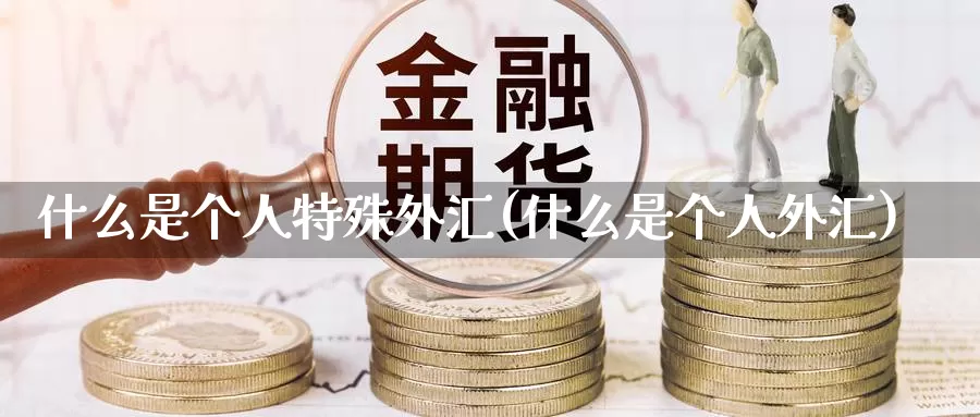 什么是个人特殊外汇(什么是个人外汇)_https://www.yicdns.com_外汇市场_第1张