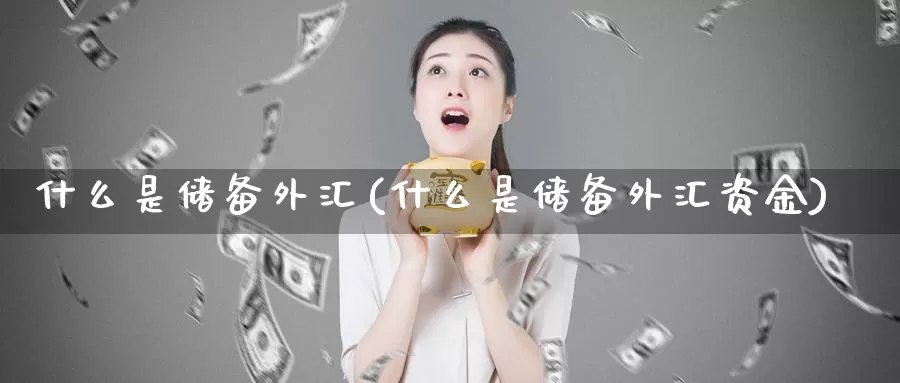 什么是储备外汇(什么是储备外汇资金)_https://www.yicdns.com_外汇市场_第1张