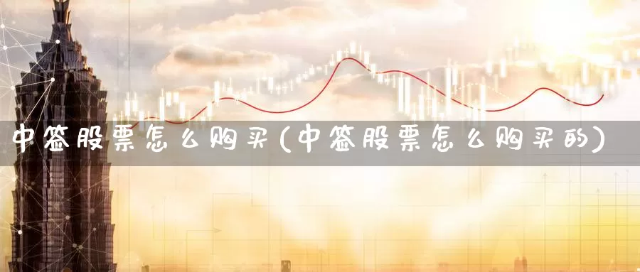 中签股票怎么购买(中签股票怎么购买的)_https://www.yicdns.com_股票入门_第1张