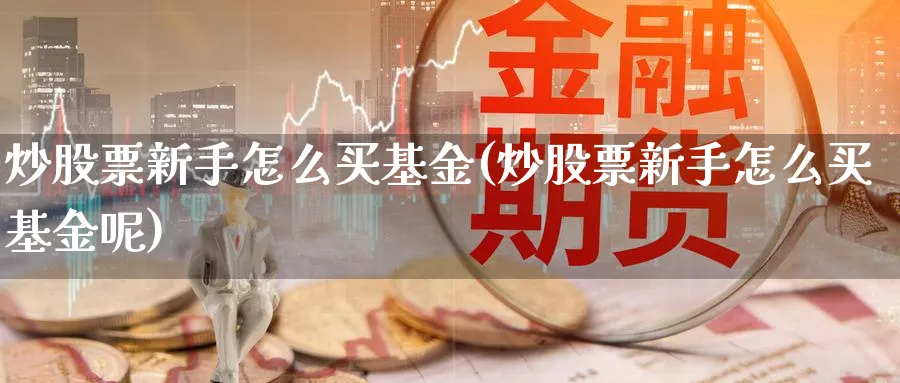 炒股票新手怎么买基金(炒股票新手怎么买基金呢)_https://www.yicdns.com_股票入门_第1张