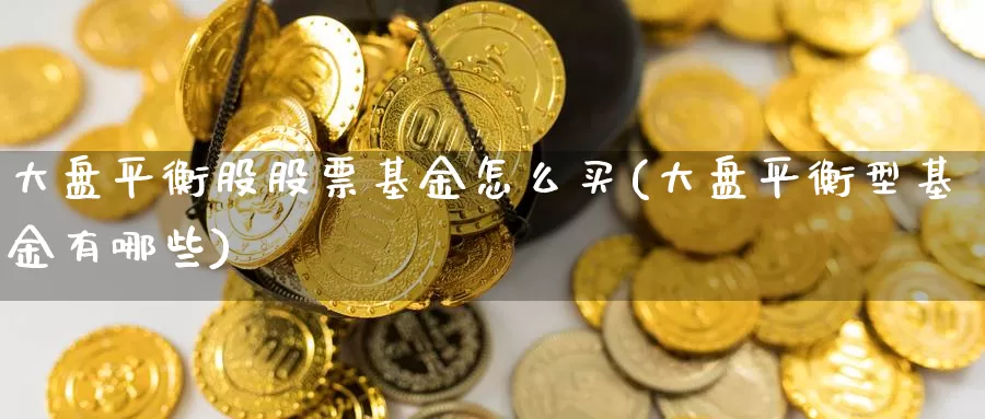 大盘平衡股股票基金怎么买(大盘平衡型基金有哪些)_https://www.yicdns.com_基金投资_第1张