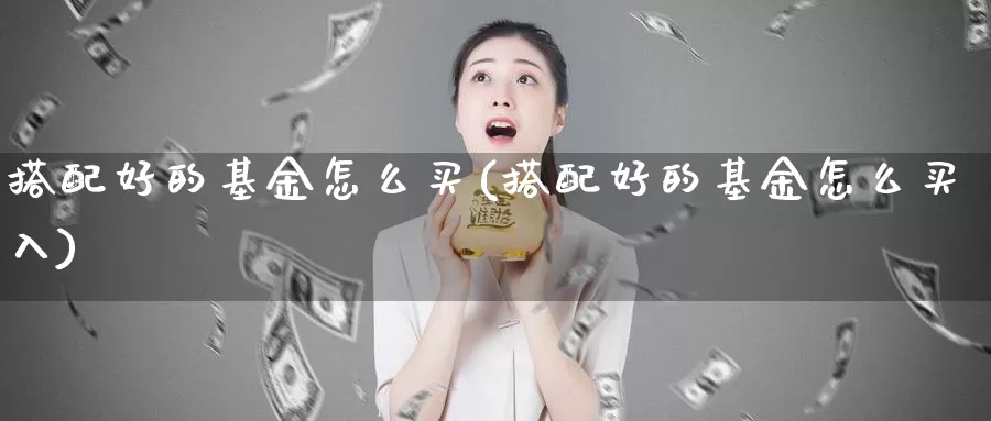 搭配好的基金怎么买(搭配好的基金怎么买入)_https://www.yicdns.com_基金投资_第1张